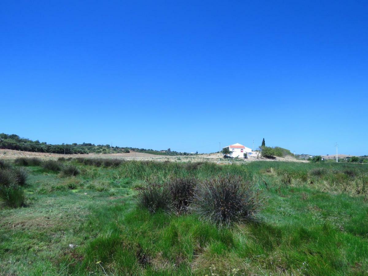 Vale Do Boto-Quinta Com 3 Casas Villa Castro Marim Dış mekan fotoğraf